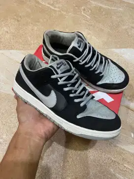 Sepatu Nike Sb Dunk