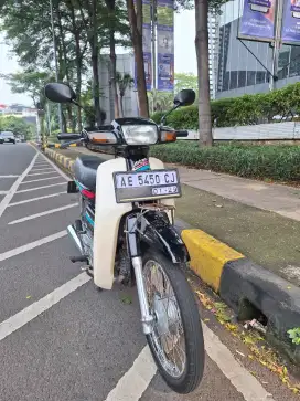 Astrea grand bulus 1992 gress mulus