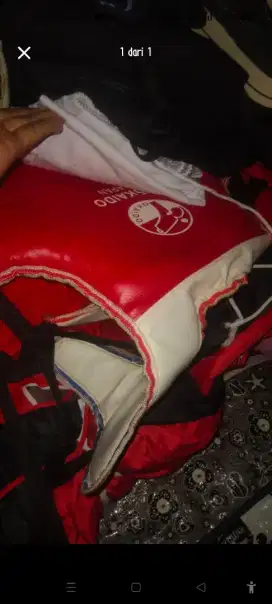 body taekwondo  merah biru