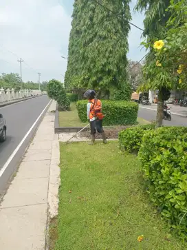 Jasa Potong Rumput Sleman