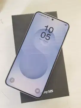 samsung s25 sein