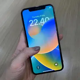 Iphone X Second 256 GB Silver