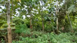 Dijual cepat 9 are dekat jalan raya darmawangsa