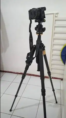 Dijual Tripod Kamera Beike Q999H