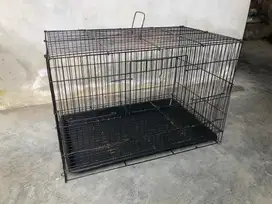 Kandang bekas Sugar Glider