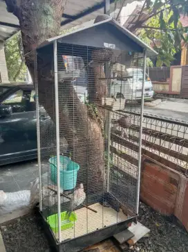Dijual kandang burung ada atapnya. Ukuran besar. Bonus 2 burung puter.