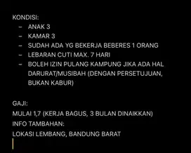 LOWONGAN KERJA ART-MOMONG