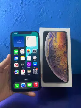 IPHONE XS MAX INTERNAL 256GB INTER