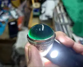 Bacan Gulau Super BC112 Jumbo Mumbul Glossy Minyak Super Klimis