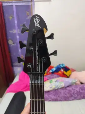 Di jual bass peavey 5 sner aktif