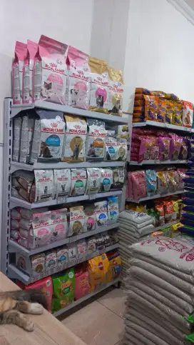 Di Butuhkan Staff Petshop (2 orang perempuan & 1 laki-laki)