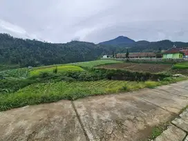 Tanah Pekarangan Siap Bangun di Blumbang Tawangmangu Solo