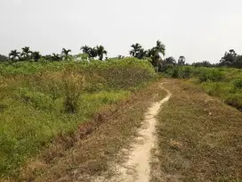 Tanah shm jl Indra Puri Hangtuah