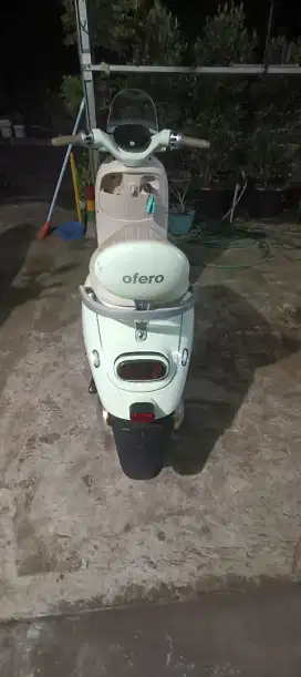 Molis Ofero Magical Lite 3