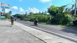 Tanah Disewakan murah kawasan industri perdagangan di Mengwi