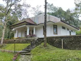 Dijual Villa nyaman sejuk kawasan Baturraden - TURUN HARGA