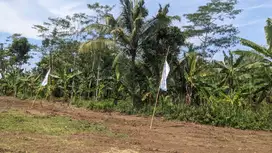TANAH SHM PINGGIR JALAN RAYA AREA PEMUKIMAN SIAP BANGUN NEGO