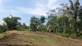1 JUTAAN TANAH SIAP BANGUN PINGGIR JALAN KOTA MALANG SHM