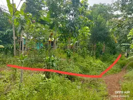 Tanah Kebun 225m² samping Citra Indah Jonggol, Cileungsi Bogor timur
