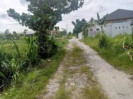 Tanah jalan Daru daru 7, tenayan raya kota Pekanbaru