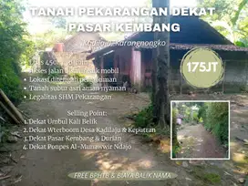 TANAH PEKARANGAN DEKAT UMBUL KALI BELIK KARANGNONGKO
