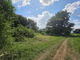 Hunian Nyaman di Dau, Malang