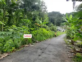 TANAH PEKARANGAN MURAH VIEW SUNGAI LOKASI DONOMULYO NANGGULAN.JK13368
