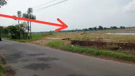 tanah strategis siap bangun mojolaban dekt solo