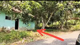 Tanah 301m² SHM bonus Rumah di Jalan Kabupaten Jonggol Cileungsi Bogor