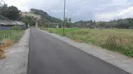 DIJUAL TANAH SAWAH AKSES ASPAL DEKAT PASAR KLEWONAN GODEAN.JK13367