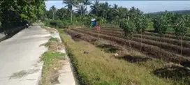 Dijual lahan sawah di dekat Ponpes Al Irsyad