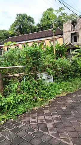 Dijual tanah 2,5 are dikumpus Unud jimbaran badung bali