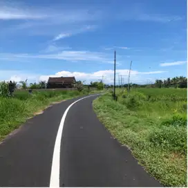 Tanah view sawah los sungai di tabanan