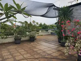 Dijual rumah besar 3 lt di Villa Melati Mas lt.321m hg 6,2 M