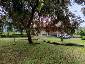 Dijual Villa dan Sawah/Kebun (Dekat Wisata Situ Gunung, Sukabumi)