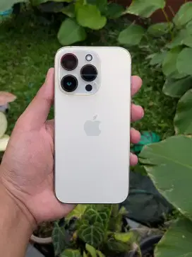 Iphone 14 Pro iBox 128GB 128 PA/A Gold No Minus like new bukan inter