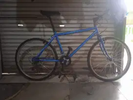 Comuterbike/citybike