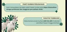 Jual hewan qurban kurban kambing sapi domba