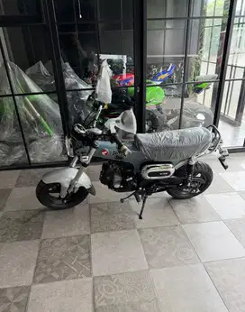 Honda Dax st125