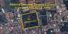 DIJUAL MURAH TANAH KEBUN, KEDAUNG PAMULANG
