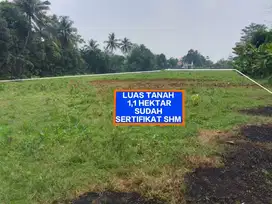 Tanah murah strategis cocok untuk berkebun dan investasi di ciseeng