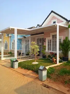 Canopy Alderon minimalis