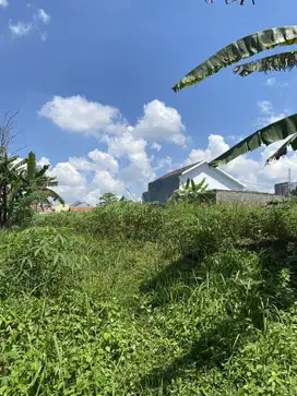 Tanah SHM Malang 10 Menit UIN Potensial Rukos