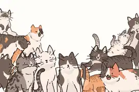 Jasa Penitipan Kucing