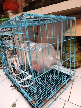 Dijual ex kandang kelinci dan kucing