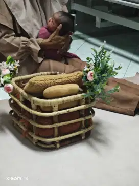 Pengasuh Bayi Usia 1 Minggu