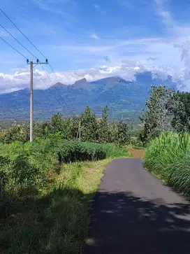 Tanah View Exotic dekat Kota Bondowoso