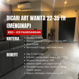ART Menginap / ART Wanita 22-35th BSD