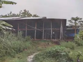 Gudang Siwalan Kec Sugihwaras Bojonegoro