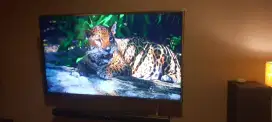 TV LG Smart TV 49 Type 49UH650T Ultra HD 4K + Soundbar Type LG SPJ5-W